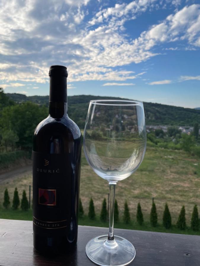 Vila Grujic Vrdnik Luaran gambar